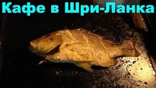 Цены в кафе, ужин на берегу моря. Пляж Унаватуна. Шри Ланка