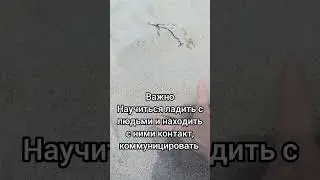 Если откликается, ставь 👍 и пиши в комментариях какое ещё имя разобрать, обязательно сделаю видео 🥰