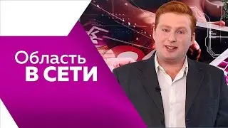 ОБЛАСТЬ В СЕТИ № 208