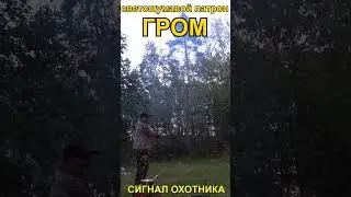 Светошумавой патрон #ГРОМ сигнал охотника #shorts