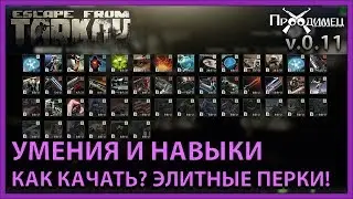 Умения и Навыки | Элитные уровни | Escape from Tarkov