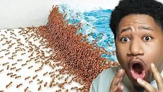 1,000 Ants vs. Natural Disasters