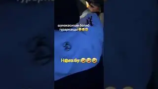 Нима бу?