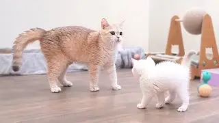 The kittens who chasing their mother cat wanting to play with her are so cute