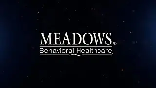 Experience Meadows Behavioral Healthcare