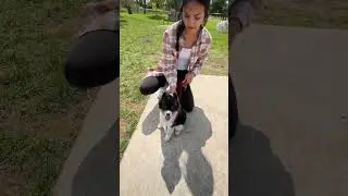 Macomb Township Dog Park - Short