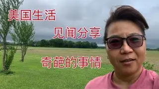 493 美国生活：分享生活见闻，奇葩的事情