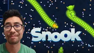 Why Snook Will Survive the Bear Market and Beyond