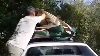 GİPSY ARAÇ ÜSTÜ ÇADIR KAPANIŞI