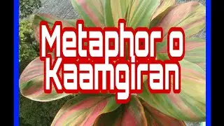 Grade 3  MTB Binisaya Metaphor  || Figure of Speech || Q2wk7