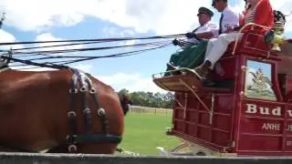 2016 Atlanta Steeplechase Chairman's Tent
