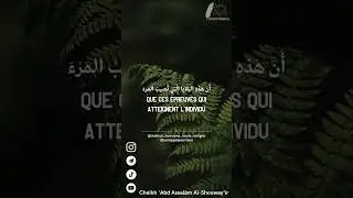 🎙️Un message à tous ceux qui sont éprouvés 📣 Cheikh Abd-Assalam Al Shuway'ir