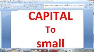 How to change capital letters to small lowercase letters in ms word