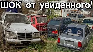 FOUND hundreds of ABANDONED cars from the 80s and 90s. RARE Mercedes!