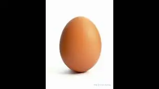 egg