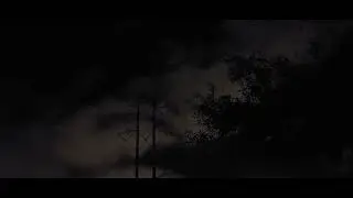 I saw a random ISS pass!