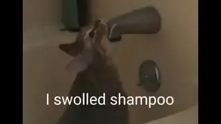 I swallowed shampoo