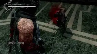 NINJA GAIDEN 3 - Boss Day6: Ryu Clone - No Damage - Ultimate Ninja- Dragon Sword