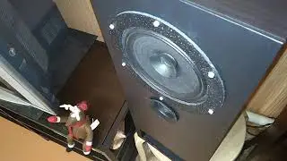 TQWP Mini