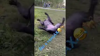 В танцах
