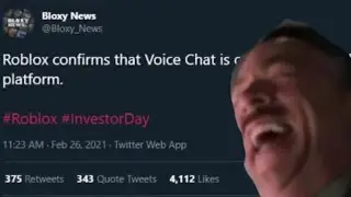 When Roblox confirms voice chat meme!