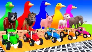 5 Giant Duck Cartoon,Tiger,Cow,Zebra,Sheep,Pig,Chicken,Dog,Cat Wild Animals Crossing Fountain 2023