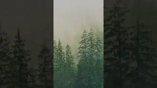Heavy Rain & Thunder in the Swedish Forest • (Fall Asleep FAST!) • 