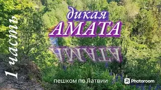 🌿🌲 Пешком по Латвии.🌲🌿  Одна у дикой реки АМАТА. // 1часть