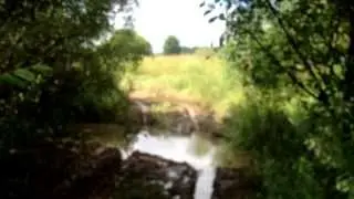 Сусанин-Трофи 2013