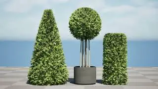Flanders Bay Trees 3d animation with unreal engine
