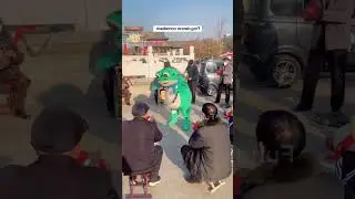 Funny frog 🐸 