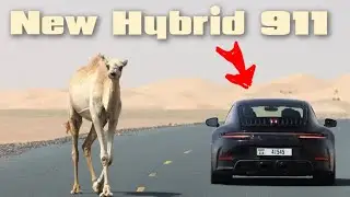 Porsche Has Revealed a Camel And a New 911