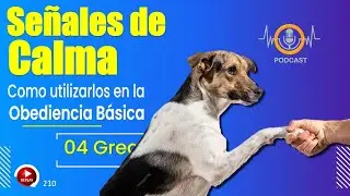 El Papel de las Señales de Calma en el Entrenamiento de Perros