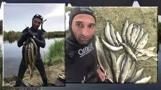 канал Шербет,Щука на 2,460 кг. Азербайджан_Баку