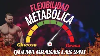 La flexibilidad metabólica para quemar grasas las 24h. #flexibilidadmetabolica