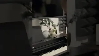 Музыкальный дуэт с попугаем