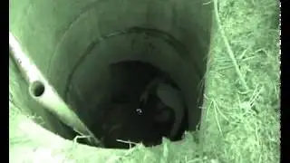 Bunker bei Massow (Wachregiment Kommando 3, AFüSt Rückwärtige Dienste, Typenbau 1/15)