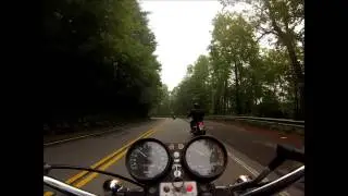 George on Ga 60 North of Suches, Ga