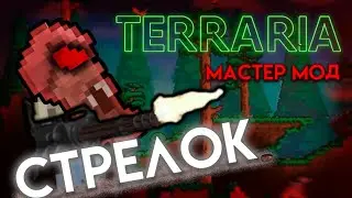 Co-op Террария Мастер Мод за Стрелка и Мага (Полное прохождение)