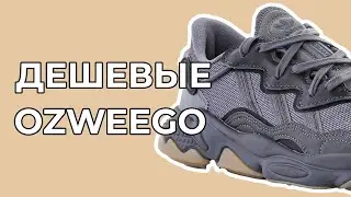 Опять они / Обзор кроссовок Adidas Ozweego