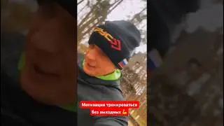 Сколько Вы раз в неделю тренируетесь? 