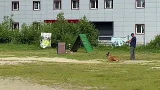 Астон Мартин IGP -2, B 91