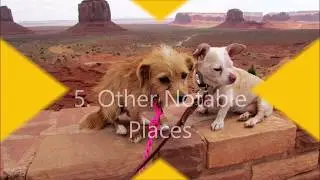 Five Years of Travel Adventures with my Dogs!