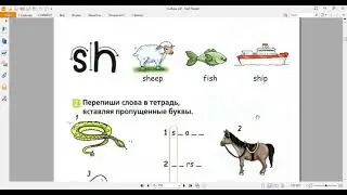 Spotlight учебник. 2 класс. Стр.12 с объяснением