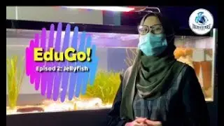 RANCANGAN EDUGO EPISOD 2!!! APAAAA!!! JELLYFISH TERBALIKKKK DI UNDERWATER WORLD LANGKAWI #trending