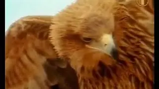 Погибшим в 029 блоках посвешается.