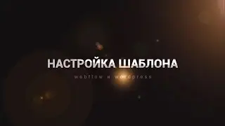 Первоначальная настройка Webflow и Wordpress