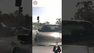 Idiots In Cars 