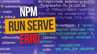 how to solve the DNPM problem one serves a problem running npm after creating a project