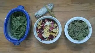 How And Why We Burn Sage | Herbs
